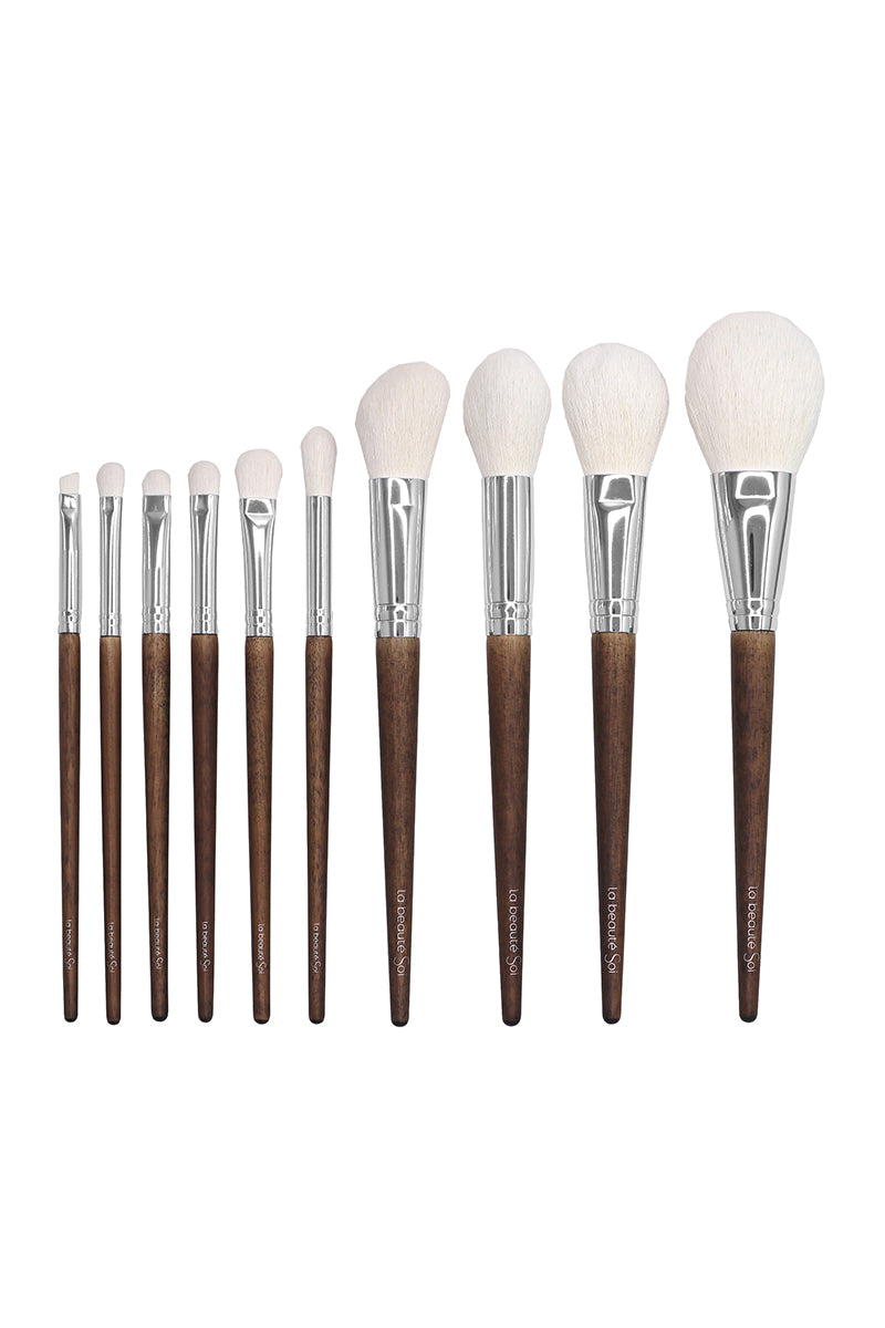LBS BLACK 10-Piece Luxury Makeup Brush Set with Elegant Black Case